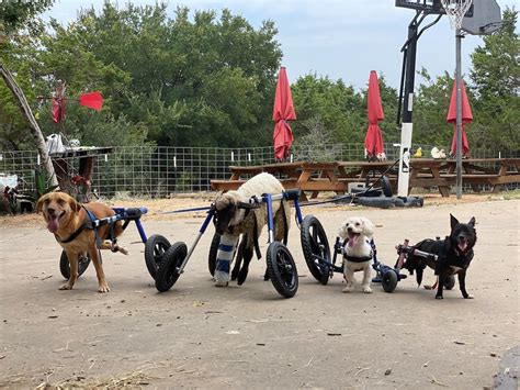 This Texas farm connects special